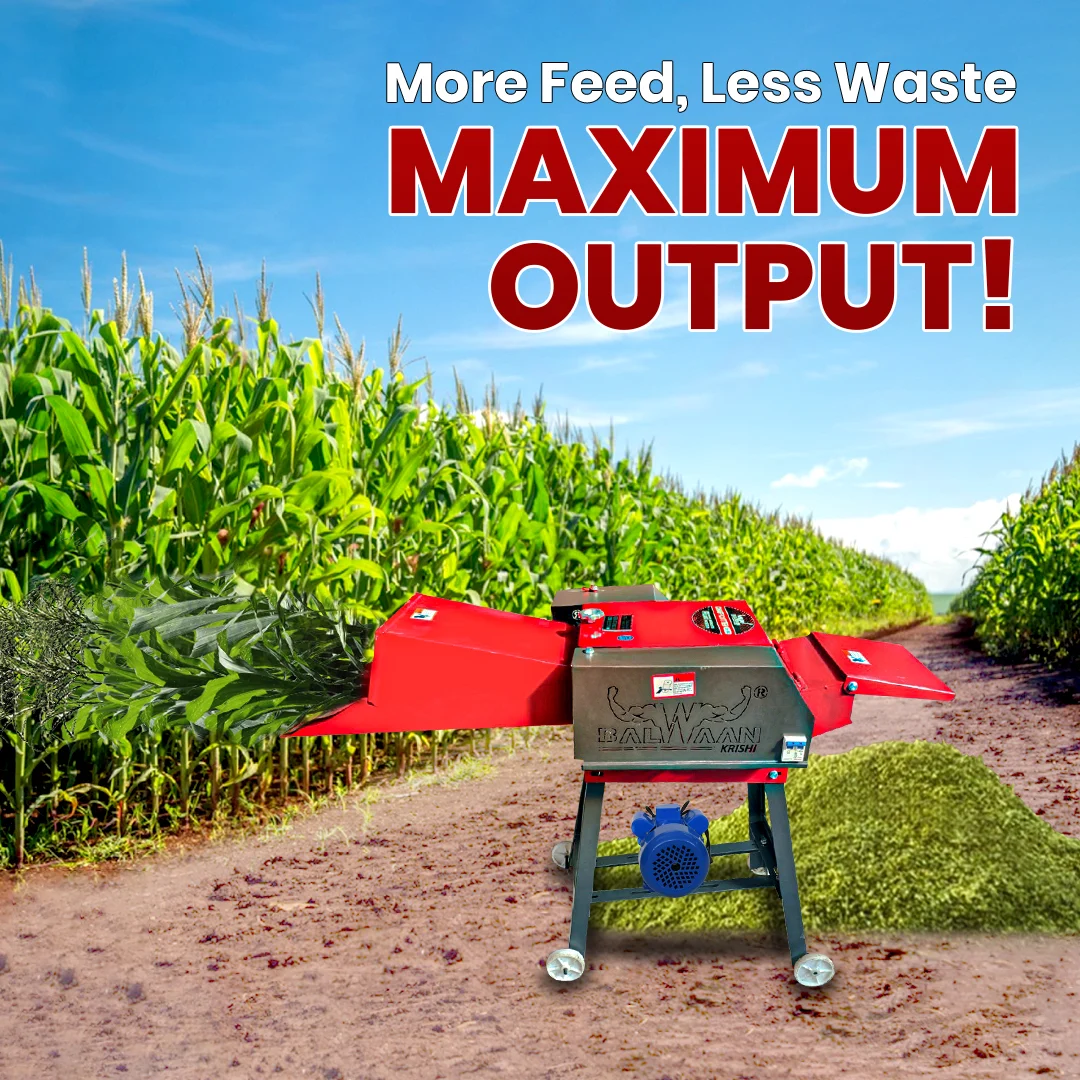 Balwaan-chaff-cutter-with-gear & motor-ch-300-5